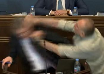 “ლაჩარმა მდინარაძემ რომ ვერ გაბედა პასუხის გაცემა, “ძაღლობა” დამასია” – ელისაშვილი