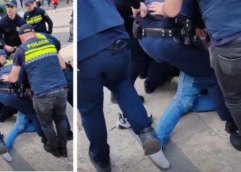 “ამ წუთას, პარლამენტის წინ მოქალაქე დაიჭირეს 83 ღორი რუსის შეგინებისთვის” – ირინა ზარანდია