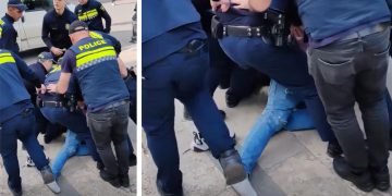 “ამ წუთას, პარლამენტის წინ მოქალაქე დაიჭირეს 83 ღორი რუსის შეგინებისთვის” – ირინა ზარანდია