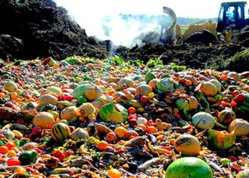 2022 წელს მსოფლიოს ერთ სულ მოსახლეზე 132კგ საკვები გადაიყარა – გაეროს ანგარიში