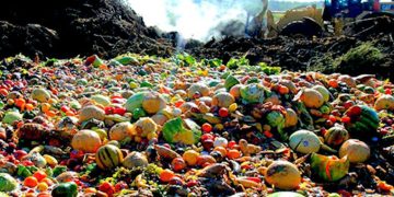 2022 წელს მსოფლიოს ერთ სულ მოსახლეზე 132კგ საკვები გადაიყარა – გაეროს ანგარიში