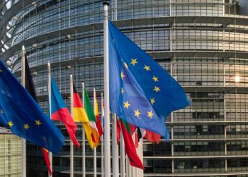 “ქართველები ხმამაღლა ამბობენ: არა რუსულ ჩარევას! და ისინი მართლები არიან!” – ევროპარლამენტარი