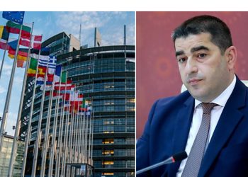 “შეასრულეთ ვალდებულებები”– EU პარლამენტს