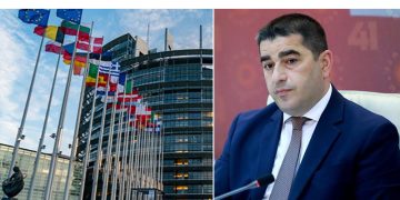“შეასრულეთ ვალდებულებები”– EU პარლამენტს