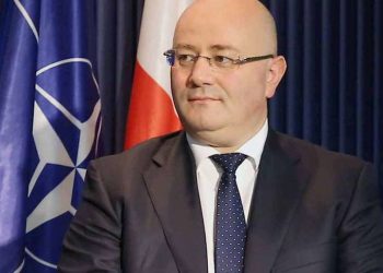 realpolitika: საქართველოს ელჩი ბუნდესტაგში რუსული კანონის გამო დაიბარეს