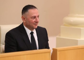 ვეთანხმები და სწორია – გომელაური რუსულ კანონზე