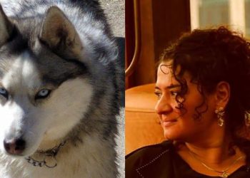 პირველად ვნახე ჩემი თვალით, ნაძირალამ როგორ ამოიყვანა კუს ტბაზე ჰასკი და როგორ დატოვა – ნინო სტურუა