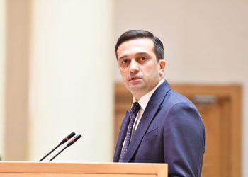 დროებითი მოთავსების იზოლატორში მყოფთაგან ერთი პირი მიუთითებდა პოლიციელების მხრიდან განხორციელებულ არასათანადო მოპყრობაზე – სახალხო დამცველის აპარატი