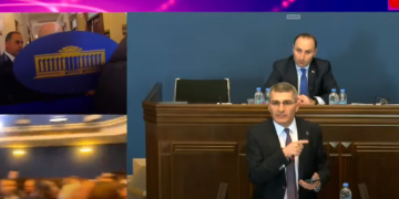 შეკვეთილი პროვოკაციაა, ელისაშვილს ფული გადაუხადეს – მამუკა მდინარაძე