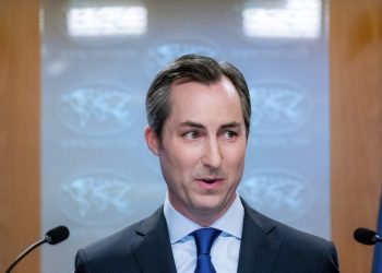 ეს კანონი საქართველოს ევროპული გზიდან გადაიყვანს – მილერი