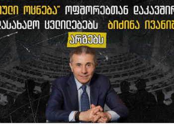 TI: “ოცნება” ოფშორებთან დაკავშირებულ საგადასახადო ცვლილებებს ბიძინა ივანიშვილს არგებს