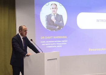 დავით ნარმანია ენერგოეფექტურობისა და მდგრადი გათბობის შესახებ საერთაშორისო  კონფერენციაზე სიტყვით წარდგა