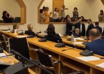 ოხანაშვილმა იურიდიულ საკითხთა კომიტეტის სხდომიდან ხაბეიშვილიც გააძევა