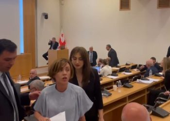 “რუსი ხარ…შეგეწერათ ყაველაშვილის გინება და შეგეწერებათ ბოლომდე” – კომიტეტის სხდომიდან ანი წითლიძეც გააძევეს
