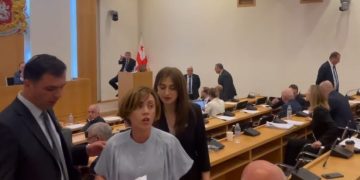 “რუსი ხარ…შეგეწერათ ყაველაშვილის გინება და შეგეწერებათ ბოლომდე” – კომიტეტის სხდომიდან ანი წითლიძეც გააძევეს