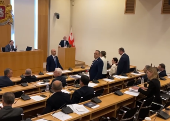 დეკანოიძე, გოდაბრელიძე და ხაჯიშვილი, იაგო ხვიჩია, არასამთავრობოები…