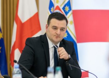 მერიის მაღალჩინოსანი რუსული კანონის წინააღმდეგ – “ყველაფრის წამრთმევი კანონი”