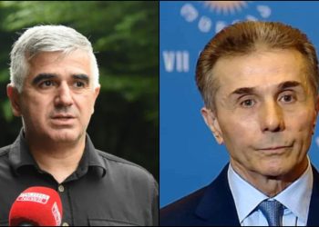 „ტიპური ვაჭარია, რომელმაც გადაწყვიტა, თავისი ორი მილიარდის გამო საკუთარი ქვეყანა გაყიდოს, მას პასუხი ქართველი ხალხის მიერ გაეცემა”- გიორგი ბოტკოველი ბიძინა ივანიშვილზე