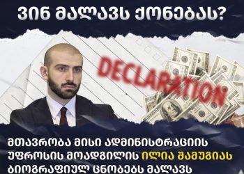 TI: ილია შამუგიამ 1.3 მლნ ლარიანი ბინა ნახევარ ფასში იყიდა, დეკლარაციაში ნაკლები მიუთითა