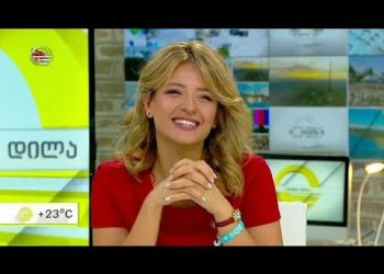 ,,როდესაც ძ ა ლ ა უ ფ ლ ე ბ ი ს სიყვარული გადაწონის სიყვარულის ძალაუფლებას ასე ხდება. ყრუ კედელი” – ეკა ამირეჯიბი მთავრობას