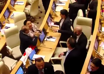 დაპირისპირება პარლამენტში – რიმა ბერაძე გიორგი ვაშაძეს თავში პლანშეტის ჩარტმით ემუქრებოდა