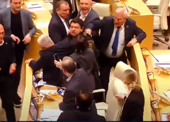 ჩხუბი, გინება და ცემა სხდომათა დარბაზში