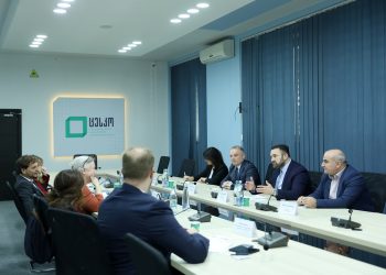 ცესკოს თავმჯდომარე ეუთოს დემოკრატიული ინსტიტუტებისა და ადამიანის უფლებათა ოფისის (ODIHR) წარმომადგენლებს შეხვდა