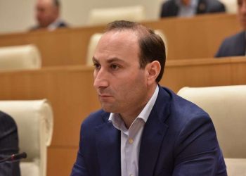სამწუხაროა, როდესაც ვენეციის კომისიამ მძიმე რეპუტაციულ მდგომარეობაში ჩაიყენა თავისი თავი – ანრი ოხანაშვილი