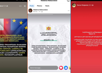 მოსამართლეები სოციალურ ქსელში კონსტიტუციის 78-ე მუხლს აზიარებენ