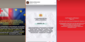 მოსამართლეები სოციალურ ქსელში კონსტიტუციის 78-ე მუხლს აზიარებენ