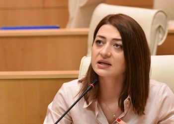 „ეს სტატუსი ქართველ ხალხს მიენიჭა და წერტილი“ – ანა ბუჩუკური ევროპარლამენტართა მიმართვაზე