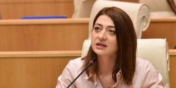 „ეს სტატუსი ქართველ ხალხს მიენიჭა და წერტილი“ – ანა ბუჩუკური ევროპარლამენტართა მიმართვაზე