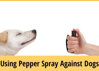 „თუ ძაღლმა შეისუნთქა წიწაკის სპრეი, ან თვალებში მოხვდა“ – ვეტერინარული კლინიკის რჩევები