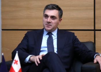 გოჩა ჯავახიშვილმა შეურაცხყოფა მიაყენა სახელმწიფოს და ყველა ღირსეულ დიპლომატს – დარჩიაშვილი