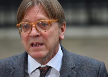 “ევროპა საქართველოს ხალხთან უნდა დადგეს” – ევროპარლამენტარი