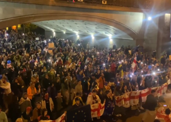 მშვიდობიანი მომიტინგეების გეგმა