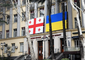 თუ სტუდენტები დაუმორჩილებლობას გამოაცხადებენ, ჩვენ შევუერთდებით – ილიაუნის პროფესორ-მასწავლებლები