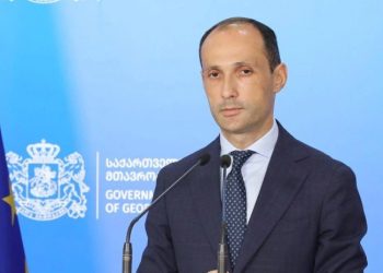 ანაკლიის პორტს ჩინური კონსორციუმი ააშენებს – ვინ შეარჩია საქართველოს მთავრობამ პროექტის განსახორციელებლად