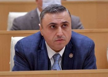 ლეგიტიმური IQ – “ზოგადად, IQ იყოფა ამისდა მიხედვით…” – დავით მათიკაშვილი