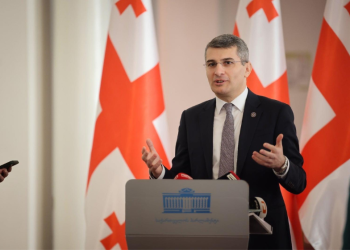 „ნაცმა, პროტესტანტმა, ბოტმა და ა.შ. იცინა, იწვალა, იჩხუბა, მაგრამ…“ – მამუკა მდინარაძე