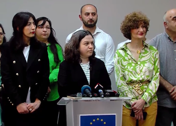 შეუერთდებიან თუ არა საკონსტიტუციო სარჩელს პრეზიდენტი და ომბუდსმენი – არასამთავრობოების გეგმა