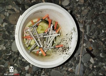 ბათუმი – რა ფოტოს ავრცელებს გვერდი “ჩემი ქალაქი მკლავს”