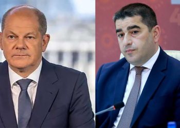 “გერმანიის დახმარებას საქართველოს მიმართ, ასე ერთი ხელის მოსმით წყალში ყრიან” – პაპუაშვილი