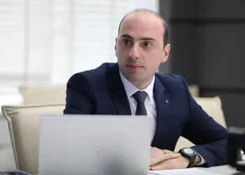 ფინანსთა მინისტრის მოადგილე თანამდებობას ტოვებს