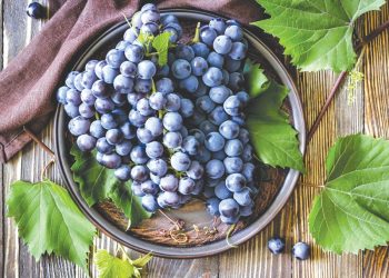 ყურძნის წვნიანი – “რეცეპტი 1901 წელსაა დაფიქსირებული” – ზურაბ ბაუჟაძე