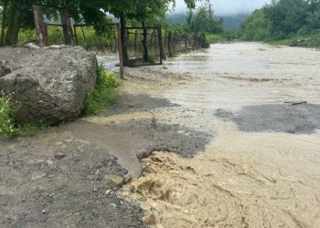 ძლიერი წვიმისა და ნალექის შედეგად, კახეთში რამდენიმე მდინარე ადიდდა – დაიტბორა მიწის ნაკვეთები და ვენახები