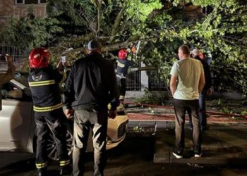 ბათუმში ძლიერმა ქარმა ხეები მოგლიჯა – დაშავდა რამდენიმე ადამიანი