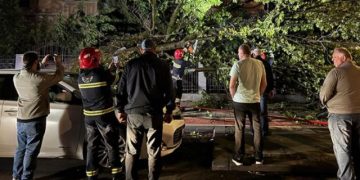 ბათუმში ძლიერმა ქარმა ხეები მოგლიჯა – დაშავდა რამდენიმე ადამიანი