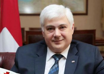 “სად მივდივართ? – ევროპაში!” – სლოვენიაში საქართველოს ელჩი გადადგა