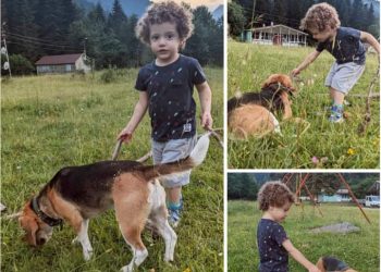 “სულმოუთქმელად ველოდებით იმ დღეს, როცა განგება ერთმანეთს შეგვახვედრებს იქ, სხვა სამყაროში” – მარიტა გუტაშვილი